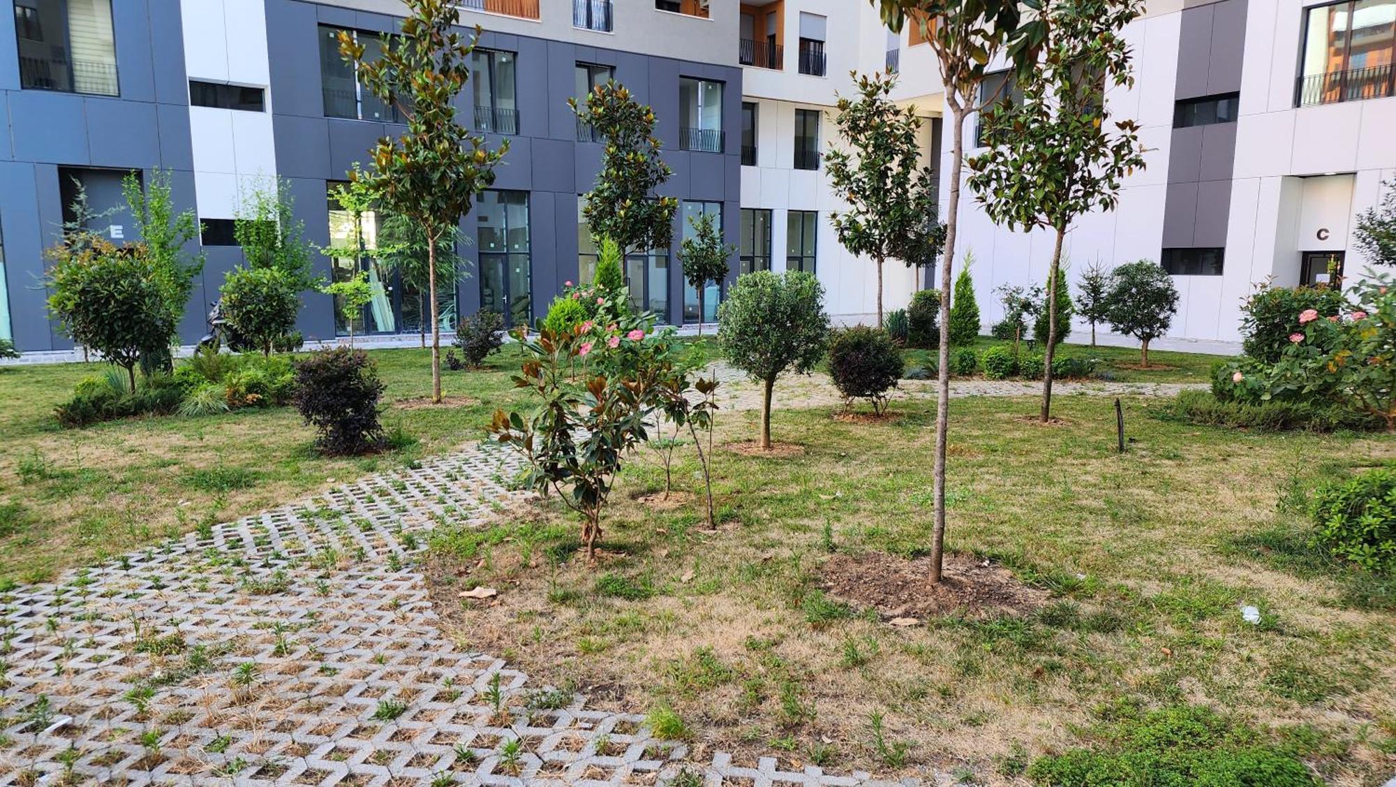Apartment Dajti Mountain View